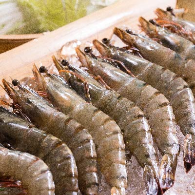 [手打虾滑鲜肉饺]｜整颗虾肉 · 爆汁鲜甜